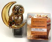 Bath & Body Works Amber Owl on Moon Nightlight Plug + 2 Caramel Pumpkin Swirl