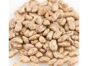 Organic Pinto Bean Beans 2 Pounds Free Shipping