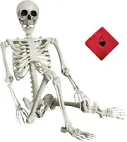 5.4ft Life-Size Halloween Skeleton Realistic Human Bones with Posable Joints Dec