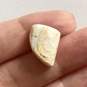 Opalized Fossil Shell Freeform 16x13.5x6.5 mm Cabochon Gemstone for Jewelry