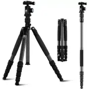 Sirui Traveler T-1205 + Head E-10 Carbon With Monopod