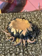 Spawning Pool from Mind Flayer Voyage Set D&D Miniature Dungeons Dragons terrain