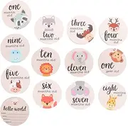 BESPORTBLE Monthly Milestone Cards Set - Wooden Milestone Discs for Boys and - Newborn Photo Props for Announcements and Monthly Growth Tracking