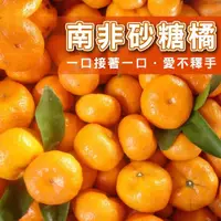 在飛比找momo購物網優惠-【台灣鮮果】南非無籽砂糖橘(五斤裝/箱)