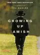 Growing Up Amish ─ A Memoir