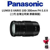 在飛比找蝦皮商城優惠-【Panasonic】LUMIX G VARIO 100-3