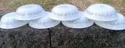 NEW - SET Of 7 CORELLE LIVINGWARE TREE BIRD - 5 3/8" Berry Fruit 10 Ounce BOWLS