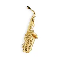 在飛比找蝦皮購物優惠-【育樂社】中音薩克斯風 Alto Sax 雙燕 Jupite