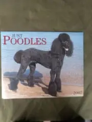 2007 NEW JUST POODLES CALENDAR