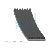 Fits Renault Clio 2005-2014 Modus 2004- 1.1 1.2 Ruva Alternator Belt