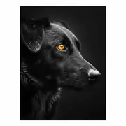 Dog Canvas Print