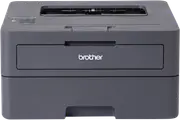 Brother Mono Laser Printer HL-L2445DW