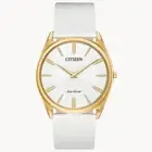 Citizen Eco-drive Ladies AR3072-09A New No Box