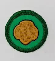 VINTAGE Girl Scout Junior Badge COOKIE CONNECTION