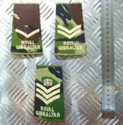 Army Rank Slide Woodland DPM Camo Royal Gibraltar Regiment Assorted Ranks