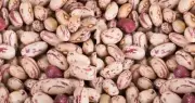 Dried Cranberry Beans, Kosher, 32 Oz Bag, BB 1/2026