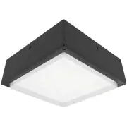 RAB 75 Watt LED Canopy Light Frosted Drop Lens 4000K 8,644 Lumens 120-277v Bronz