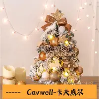 在飛比找Yahoo奇摩拍賣-7-11運費0元優惠優惠-Cavwell-Warm House 韓系超可愛發光聖誕樹 