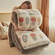 Queen Size Fluffy Comforter, Flannel Fuzzy Plush Girls Boys Dorm Bedding Quilt Twin Warm Thicken Lamb Cashmere Blanket for All Season (Color : A, Size : 200x230cm(5kg))