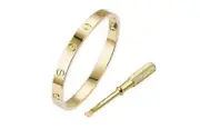 Luxury Designer 316l Stainless Steel 18k Gold Plated Brand Love Screwd(18cm)