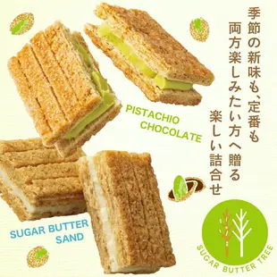 砂糖奶油樹 綜合餅乾(原味、開心果) 12個入 東京特產 Sugar Butter Tree 砂糖奶油樹 穀物 巧克力 菓子 綜合 禮品 點心 甜點 人氣 特產 經典土產 混裝 日本必買 | 日本樂天熱銷