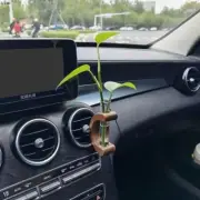Car Vent Clip Propagation Vase Holders Black Walnut Dashboard Decors for