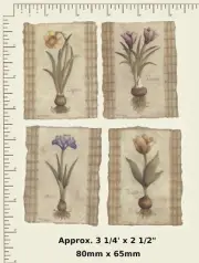 4 x BOTANICAL Flowers, Floral Ceramic decals Approx. 3 1/4" x 2 1/2". A36