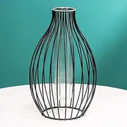 Metal Frame Vase ,Wire Vase Black Geometric Glass Flower Vase Modern Creative Clear Tube Glass Planter Terrariums for Flowers Hydroponics Kitchen Shelf Home Decor (black lantern)