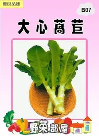 在飛比找Yahoo!奇摩拍賣優惠-【野菜部屋~】B07 日本大心萵苣種子3.8公克 , 嫩莖萵