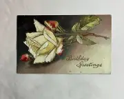 Antique Birthday Greetings White Rose Gold Background Vintage Paper Emphmera