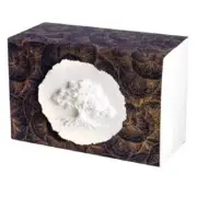 XLarge 300 Cubic Inch Biodegradable Box Cremation Urn w/Cotton Tree of Life
