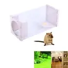 Humane Live Mouse Trap Cage for Rodent Control Pest Bait Catcher