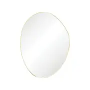 Fienza Pebble Urban Brass Asymmetrical Framed Mirror 1200 x 900mm FMPA90120UB