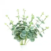 2 pcs 19" tall Frosted Green Eucalyptus Artificial Greenery Bushes Wedding SALE