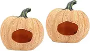 Ipetboom 2pcs Aquarium Pumpkin Decor Fish Tank Decor Prop Fine Details for Snakes Lizards Reptiles