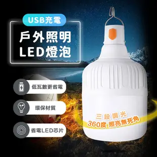 USB充電戶外照明LED燈泡(4入組)