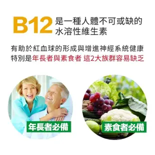 【Lovita 愛維他】高單位緩釋型維生素B12 1000mcg 6入組(共360顆)