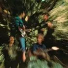 CREEDENCE CLEARWATER REVIVAL - BAYOU COUNTRY VINYL LP NEW!