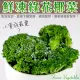 【WANG 蔬果】冷凍綠花椰菜(6包_200g/包)