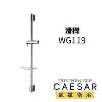 在飛比找蝦皮購物優惠-Caesar 凱撒衛浴 WG119 滑桿 可調整 SPA淋浴