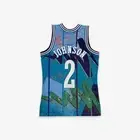 Mitchell Ness Charlotte Hornets 1995 Larry Johnson Swingman Stripes HOOPS Jersey