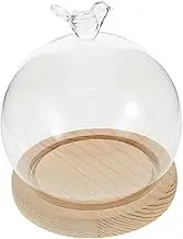 GREENADSCAPE 1 Set Elegant Glass Display Dome with Base Preserved Flower Showcase Bird Shaped Decorative Cloche for Tabletop Dust and Stable Glass Case for Special Items