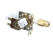 Cornelius 620047891 Inlet Solenoid Valve, 24VDC Assembly Quest Elite
