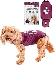 BellyGuard Recovery Suit for Dogs, After Surgery Dog Recovery Suit Female and Male, Soft Cotton Dog Surgery Suit Female Spay, Dog Surgical Recovery Suit Male Neuter, Comfy Surgical Onesie for Dogs.