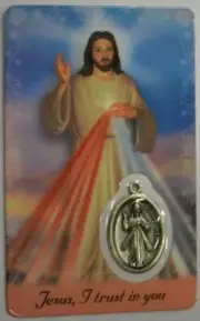 DEVINE MERCY Window Prayer Card 54 x 85mm MERCY PRAYER - Tracked Postage