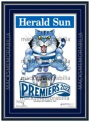 2022 AFL PREMIERS GEELONG CATS MARK KNIGHT GRAND FINAL FRAMED MEMORABILIA