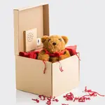 英國 SUCK UK 可錄音禮物盒 MESSAGE GIFT BOX 可重錄 音樂禮盒 禮物 包裝盒【他,在旅行】
