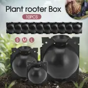 10Pcs Plant Rooting Device High Pressure Propagation Ball Root Grow Grafting Box