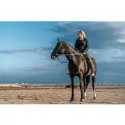 Save 4.97%! Horseback Riding 1 Hour in the Desert With Transfer - Marsa Alam