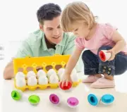 12Pcs/Set Matching Egg Color & Shape Recoginition Sorter Puzzle Toy for Kid Gift